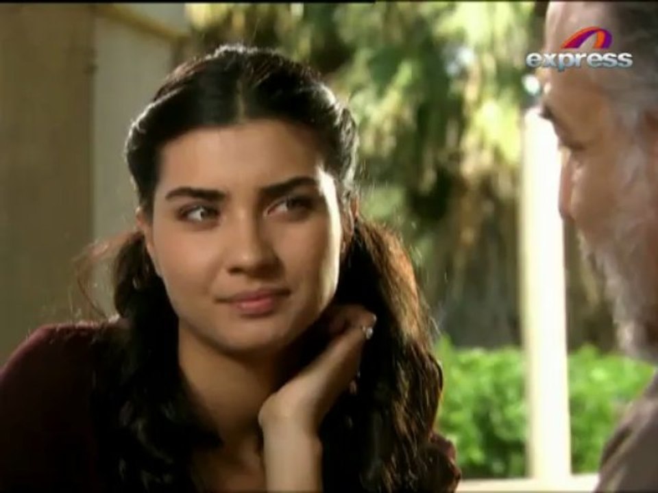 ASI (Episode 76)