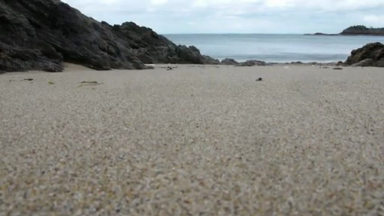 La terre n'est pas une poubelle