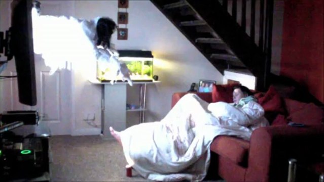 Man terrifies sleeping girlfriend with The Ring-style prank