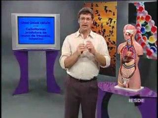 BIOLOGIA AULA 12 -- HISTOLOGIA Parte 2  - YouTube