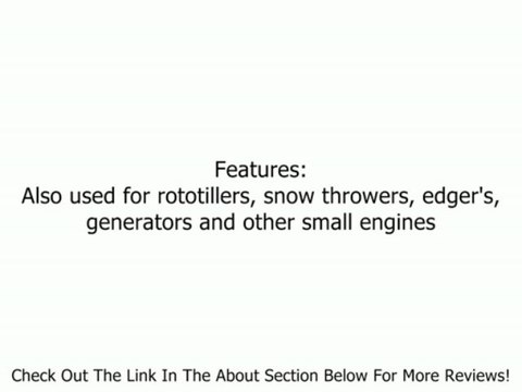 OL-420 20 oz. Bottle Oil - 4 Cycle Lawn Mower Single Pack Review