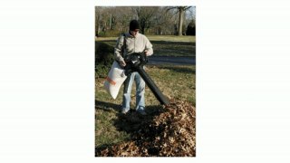 Remington RM193BVT 12-Amp 215 MPH 14:1 Mulch Ratio Titanium Mulcher Blades Electric Blower / Vacuum / Mulcher Review