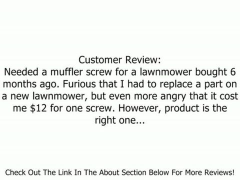 Briggs & Stratton 691340 Screw Replaces 94231, 691340 Review