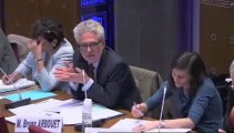 Rapporteur, Alexis Bachelay - Extraits des auditions de la mission d'information sur les immigrés âgés