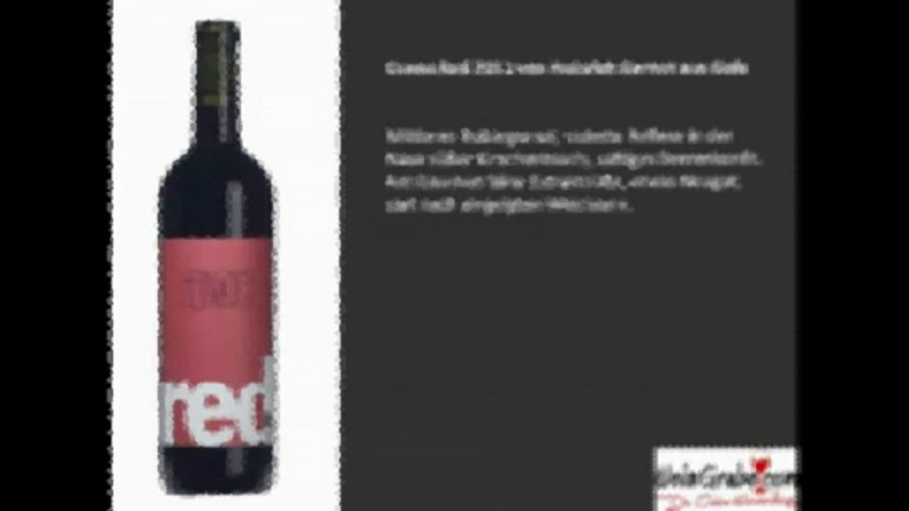 Weinpräsentation vom Neusiedlersee – Weingrube.com!