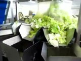 TECHNO D - Confezionamento insalata e verdure