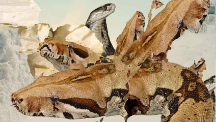 Bring Me The Horizon - _And The Snakes Start To Sing_ (Full Album Stream)