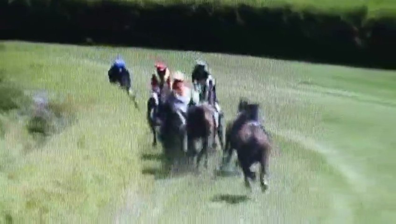 Accident : des chevaux rentrent en collision