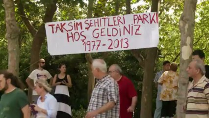 Protest rally at Istanbul Gezi Park after clashes