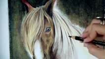 COMO DIBUJAR UN CABALLO / COMO PINTAR CABALLOS PASO A PASO