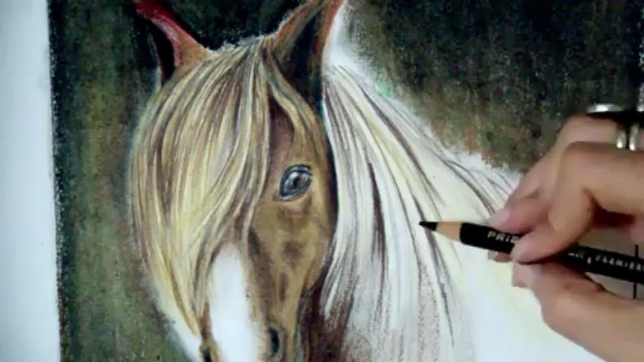 COMO DIBUJAR UN CABALLO / COMO PINTAR CABALLOS PASO A PASO