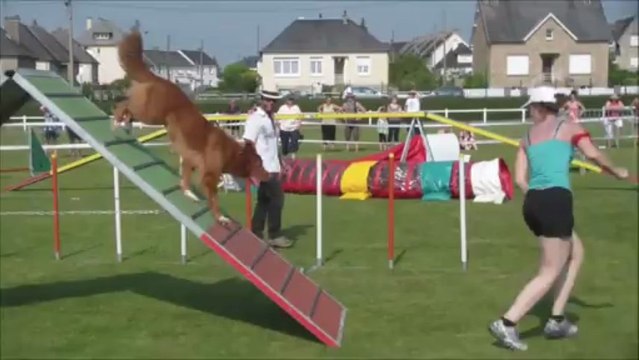 Bullit Concours de Tanis 2013-07-07