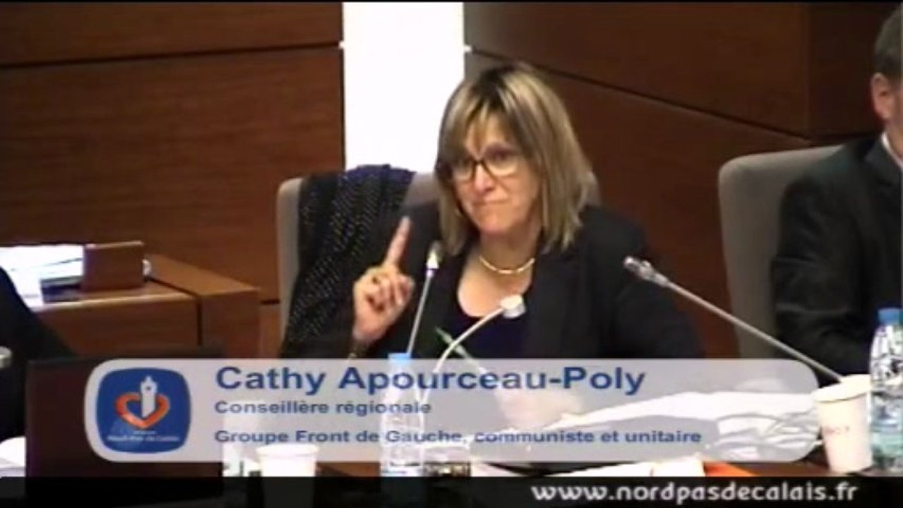 Intervention Cathy Apourceau-Poly internat excellence et decrochage scolaire 24-06-13