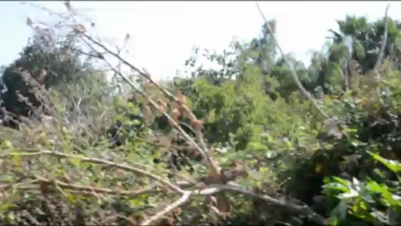 883-Come mai (Video Cover) by David&Alex