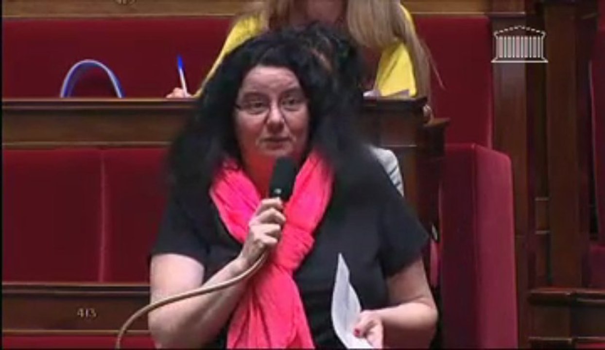 Non-cumul des mandats Article 1er
