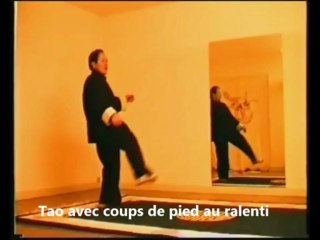 KUNG-FU TAO DES CHAMPIONS DE L'ECOLE DU TIGRE VOLANT