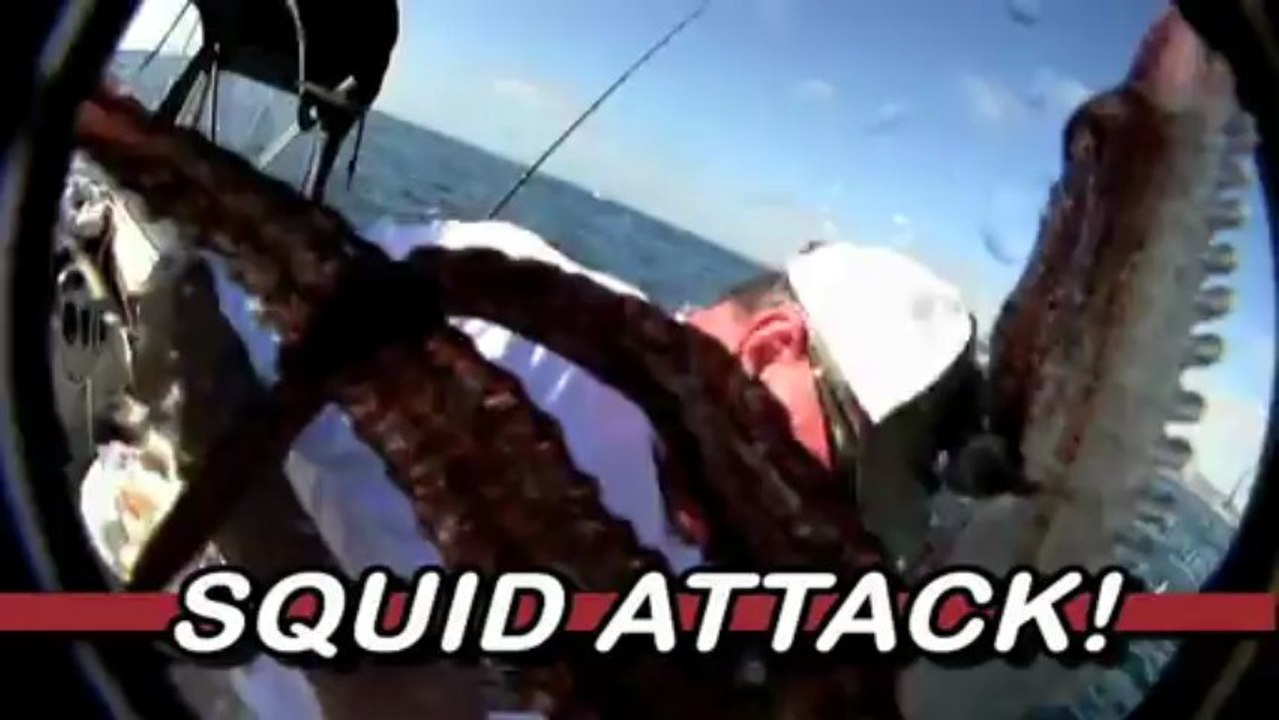 Xcorps Action Sports TV SOLO FISH SEABASS with Bob Woodard