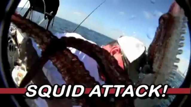 Xcorps Action Sports TV SOLO FISH SEABASS with Bob Woodard