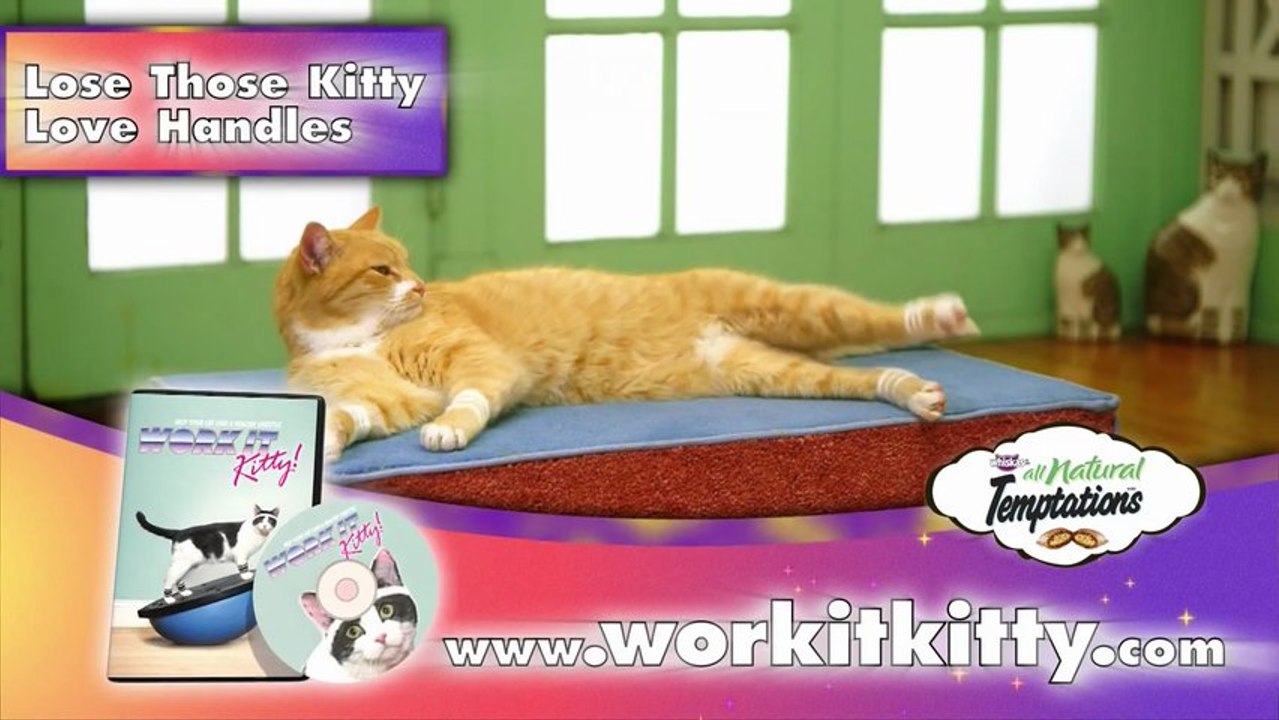 Alex Gaudino ft. Taboo _I Don't Wanna Dance_ - Work It Kitty