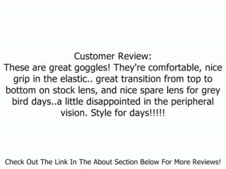 Dragon Alliance APXs Jet Goggles Review