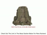 Molle 3 Day Military Assault Pack Backpack--OD DIGITAL Review