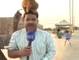Funniest Pakistani News Reporter Ever