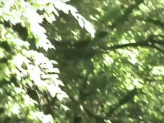 Le Nouvion-en-Thiérache,  Station Verte de vacances