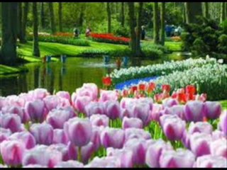 (Vídeo) EL AMIGO FIEL. OSCAR WILDE CUENTO NARRADO Y LAMINADO