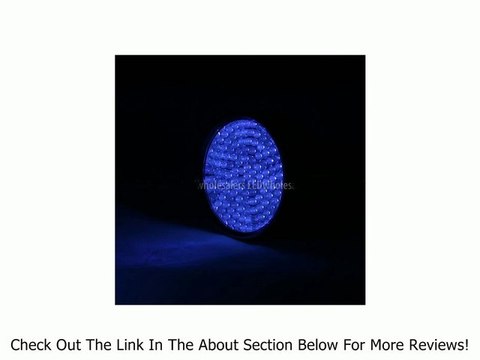 LEDwholesalers Blacklight 128 UV Ultraviolet LED Flashlight 385 nm 4D,7508UV385 Review