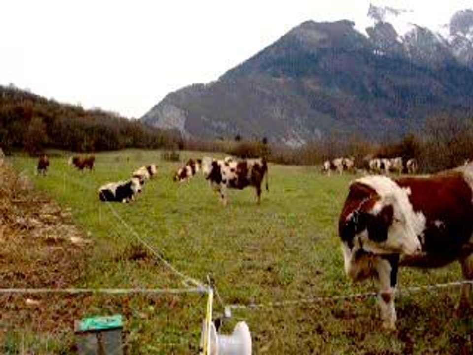 Faverges haute savoie chez mémé