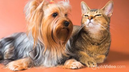 Savoy Apartments in Overland Park, KS - ForRent.com