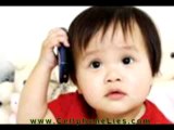 Cell Phone Emf Shield, Effects Of Electromagnetic Pollution