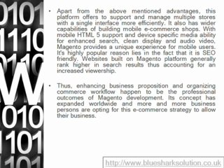 Magento e-commerce development promising profuse online business growth