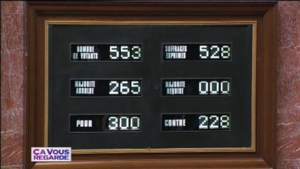 Le non-cumul des mandats adopté à l'Assemblée