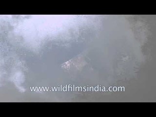 Peek through the clouds and view the peaks: Gidara, Uttarakhand