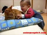 Baby chewing on cats tail