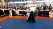 Japan Expo 2013 Aïkido