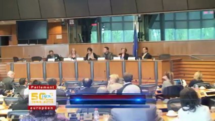 AG 2013 - Intervention Sylvie GUILLAUME