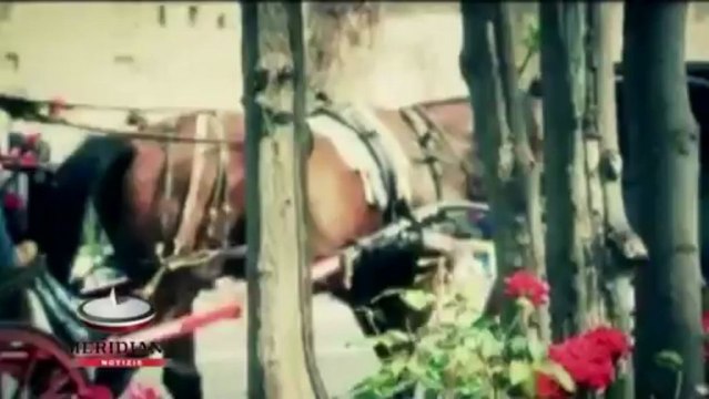 Con Mamma Roma nel mondo la la città eterna sbarca oltreconfine