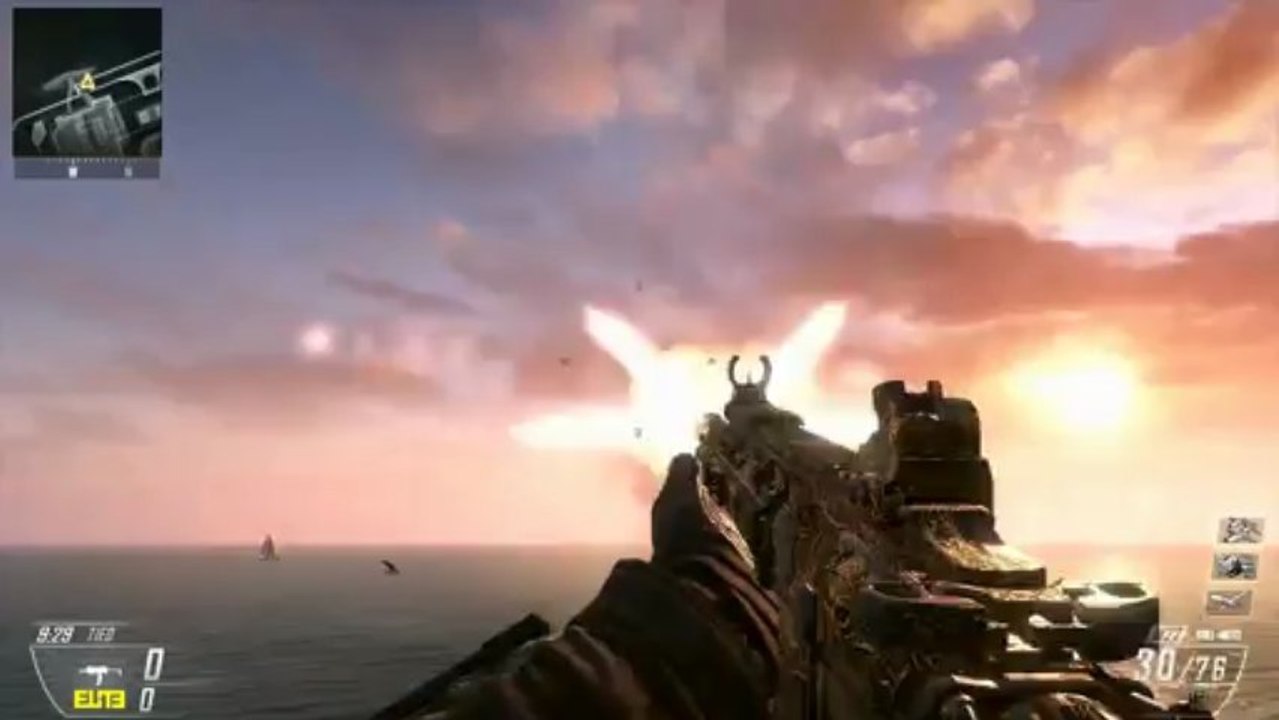 Black Ops 2 PALADIN Camo on All Weapons - Paladin Camo