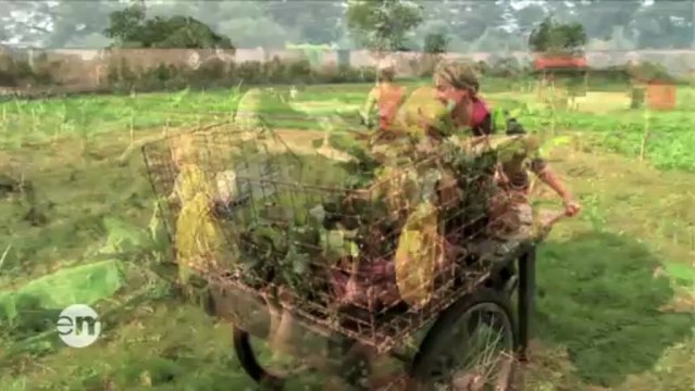 Cultures en transition - Extrait