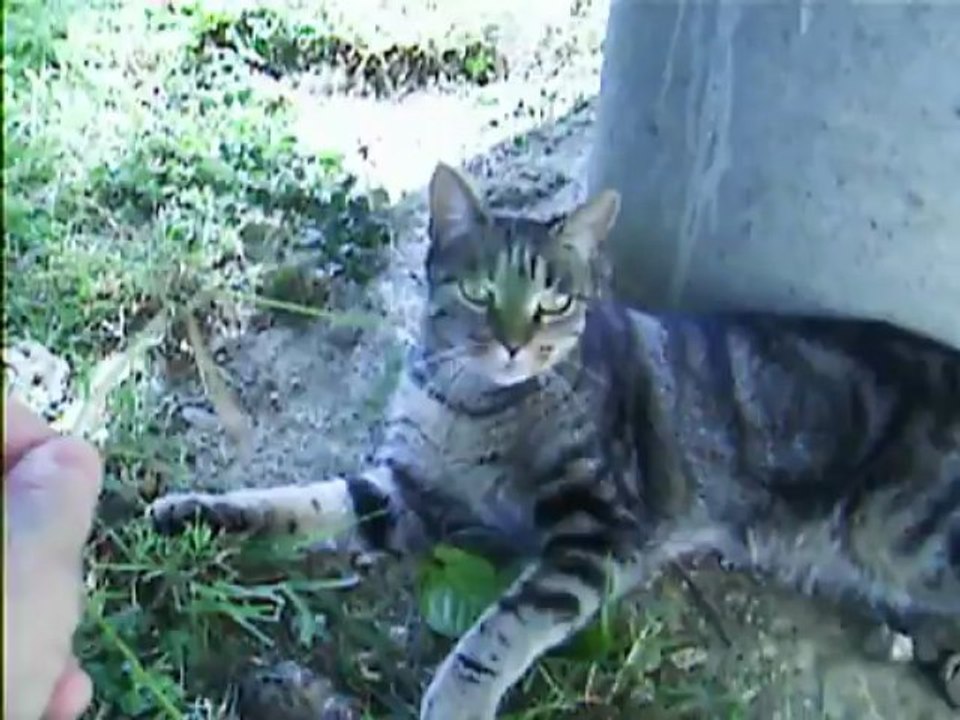Babylone à midi
