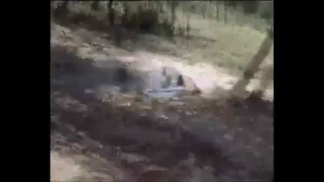 AYI BARINAĞI