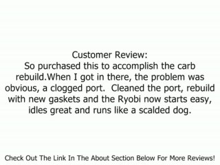 Carburetor Kit WALBRO/K10-WAT Review