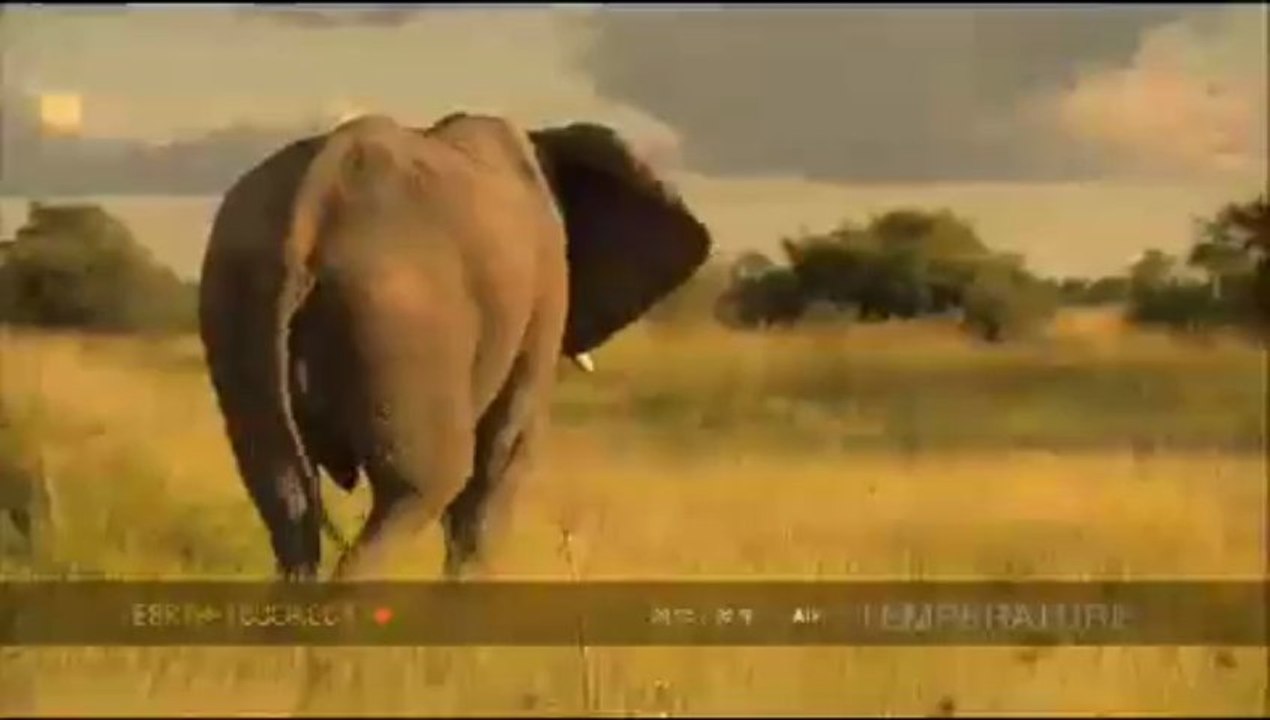 Video Campaign 30 please enjoy this video campaign. This is for testing and only for the developer.