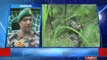 5 terrorists killed in Kupwara District