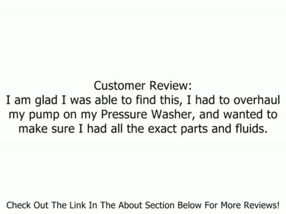 Briggs & Stratton Synthetic Pressure Washer Pump Oil - 5.3 oz 190585GS Review