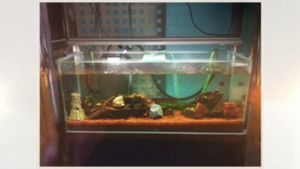 Malaysia Sibu Fish Tank 2003