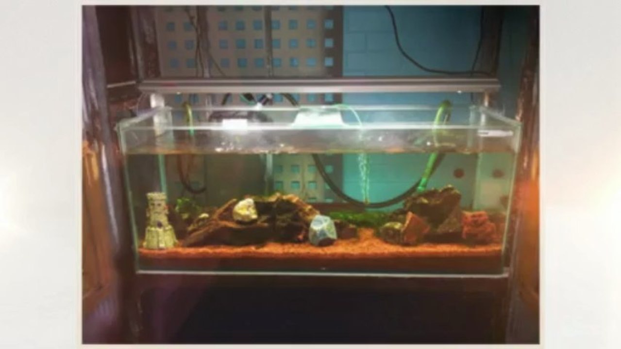 Malaysia Sibu Fish Tank 2003