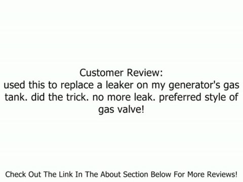 Briggs & Stratton Pressure Washer Fuel Valve Service Kit 192980GS Review